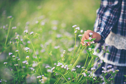在草地抚摸白色野花的女孩