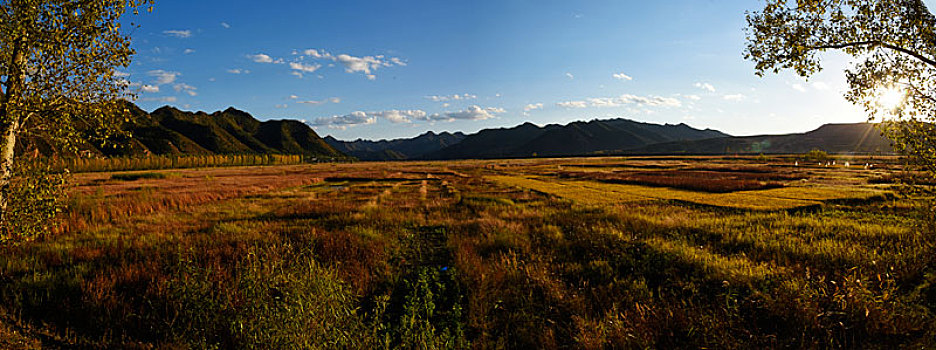 内蒙古赤峰市克什克腾旗乌兰布统坝上,红山军马场