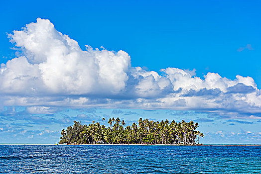 小岛,棕榈树,赖阿特阿岛,南太平洋,法属玻利尼西亚,大洋洲