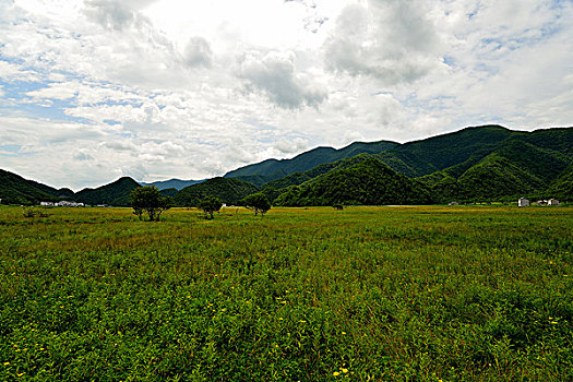 大九湖风光