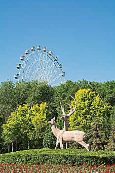 乌鲁木齐红山公园双鹿迎宾和摩天轮