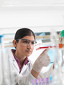 女性,生物学家,实验室,拿着,长颈瓶,干细胞