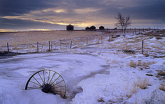日落,冬天,手,山,艾伯塔省,加拿大