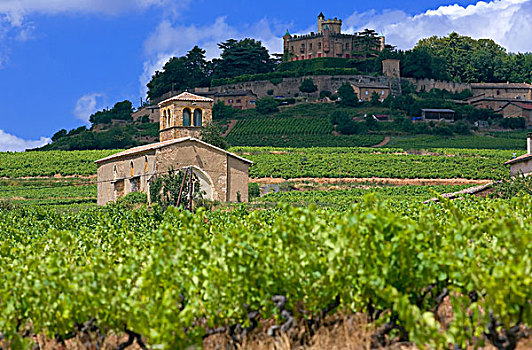 葡萄园,小教堂,12世纪,城堡,博若莱葡萄酒,酒乡,罗纳河谷,法国