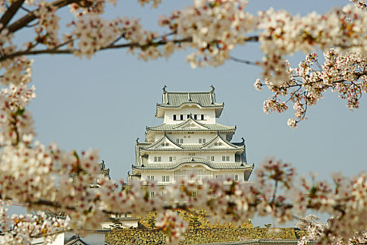 姬路城堡,春天,兵库,日本