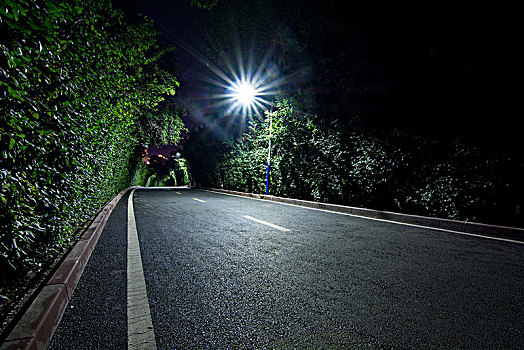 林荫道夜景道路特写