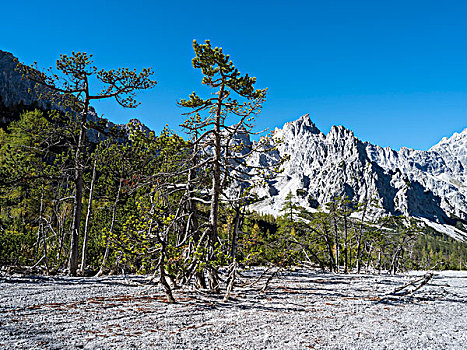 山谷,著名,巨大,碎片,风景,上方,砾石,山,德国,十月,大幅,尺寸