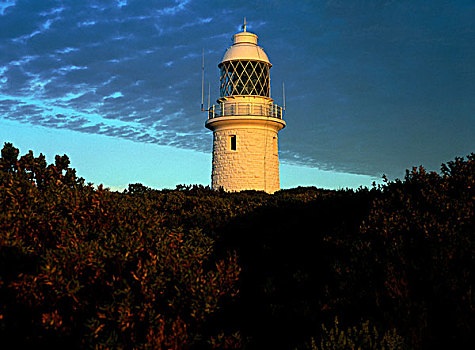 岬角,灯塔,西澳大利亚州,澳大利亚