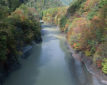 河,秋叶