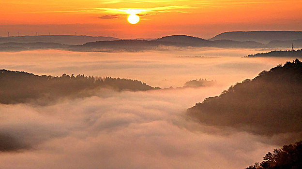 晨雾,大,环,萨尔州,德国