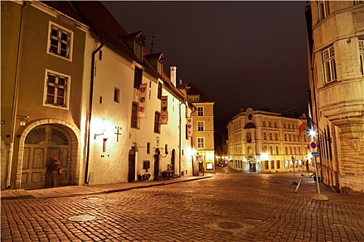 夜晚,街道,老城,塔林,爱沙尼亚