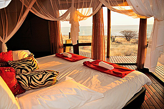 奢华,木房子,露营,埃托沙国家公园,纳米比亚,非洲