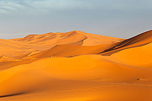沙子,沙丘,艾尔芙,摩洛哥,北非,非洲