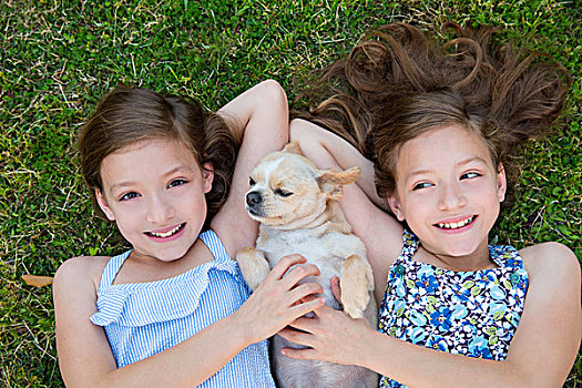 双胞胎,姐妹,玩,躺着,后院,草坪