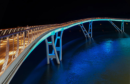 桥上的夜景