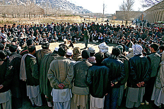 阿富汗,公鸡,争斗,公园,喀布尔,城市,十二月,2007年