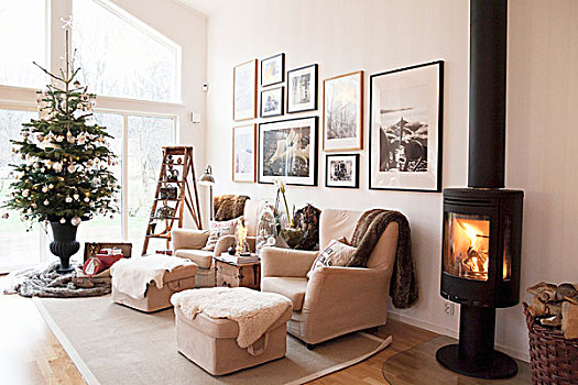 火,炉子,苍白,沙发,装饰,圣诞树,客厅