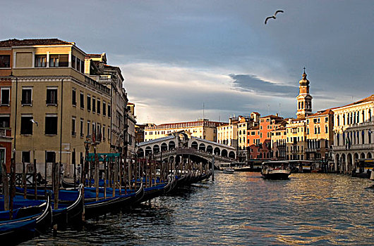 大运河,雷雅托桥,威尼斯,意大利
