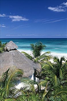 俯视,酒店,小屋,西安,生物保护区,尤卡坦半岛,墨西哥,北美