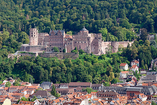 风景,上方,老城,城堡,海德堡,巴登符腾堡,德国
