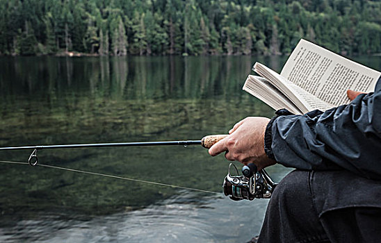 钓鱼,男人,书本,不列颠哥伦比亚省,加拿大