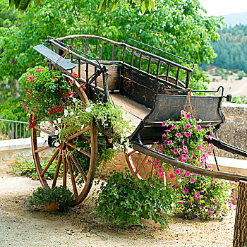 古老,马车,乡村,普罗旺斯,法国