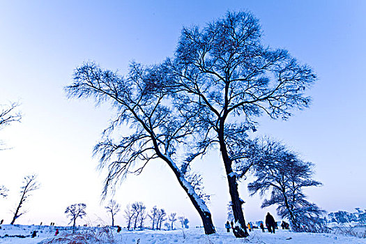 雾凇岛,冰雪,自然风光,吉林,龙潭区