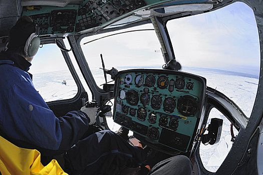 飞行员,直升飞机,飞跃,南极,风景,雪丘岛,半岛
