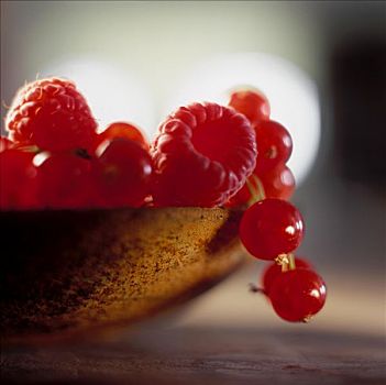 树莓,红醋栗,碗