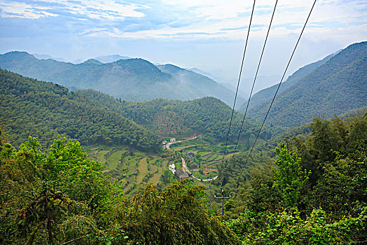 山,树林,雾气,云海,氤氲,绿色,树木,乡村