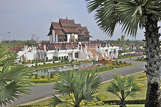 树,宫殿,背景,皇家行宮,清迈,泰国