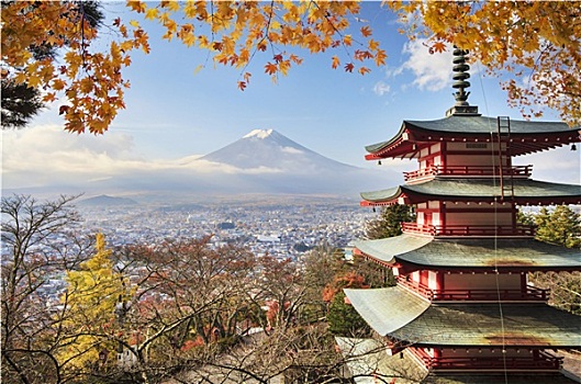 山,富士山,秋色,日本
