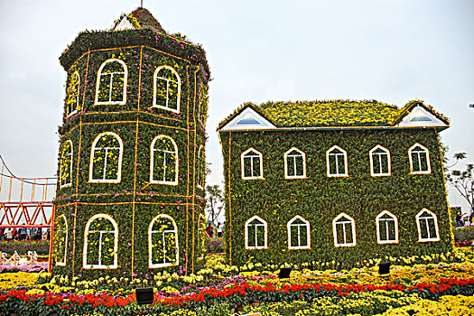 中山小榄菊花展