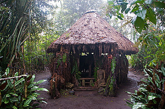 部族,小屋,雾状,高地,巴布亚新几内亚