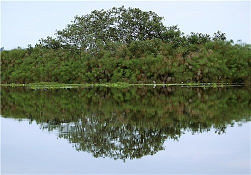 水边,风景,维多利亚湖,靠近