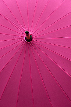 日本北海道小樽樱花雨伞