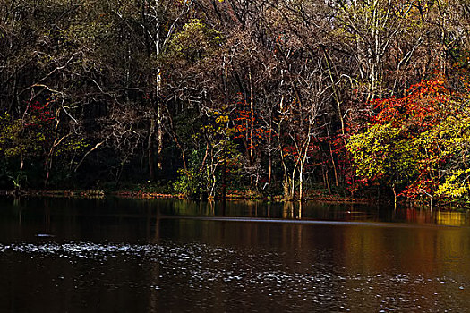 秋天的湖泊