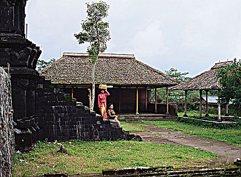 巴厘岛,女人,商品,户外,乡村,房子,印度尼西亚