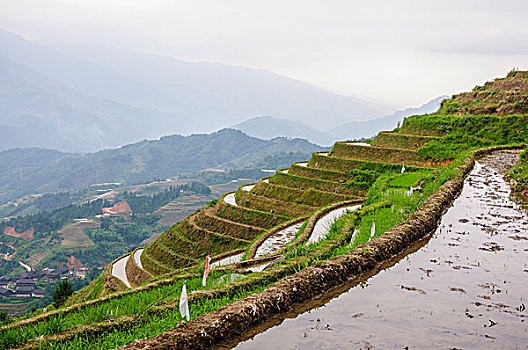 桂林梯田风光