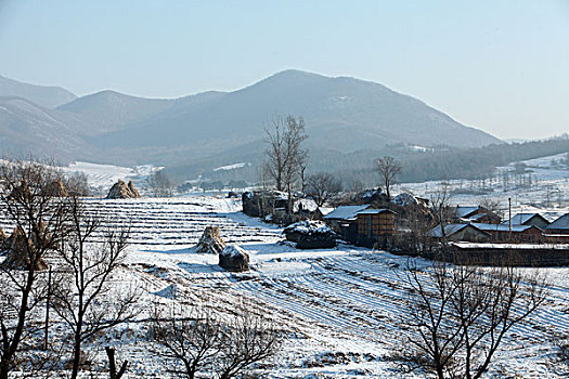 雪野,北方,東北,大雪,原野,土地,冬季,潔白,干凈,風景,村莊,農村