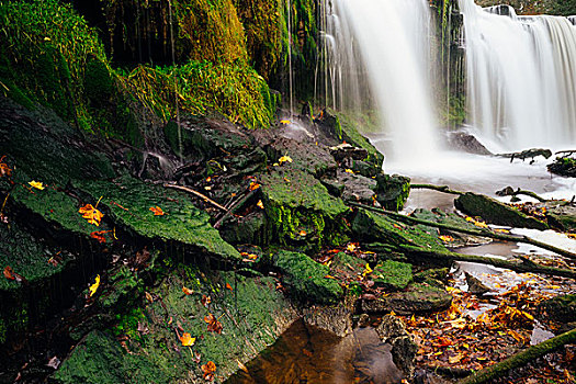 瀑布,秋天,苔藓,石头,前景,长时间曝光,图像