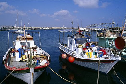 渔船,港口,帕福斯,塞浦路斯