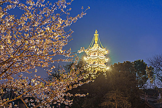 樱花,夜景,古建筑,中国