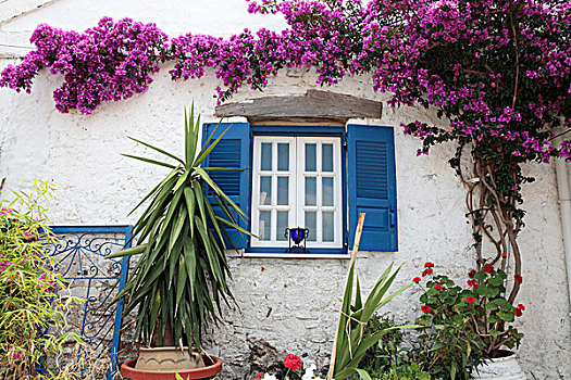 房子,科孚岛,希腊,欧洲