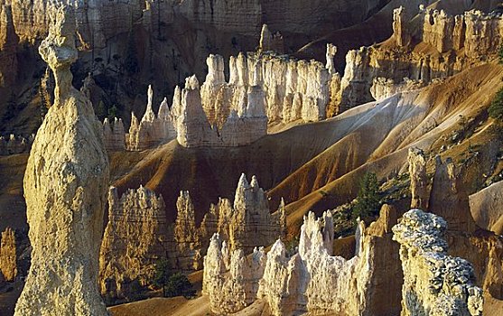 俯拍,岩石构造,布莱斯峡谷国家公园,犹他,美国
