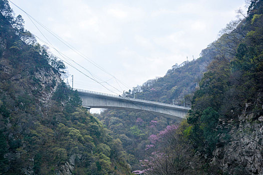 秦岭险道