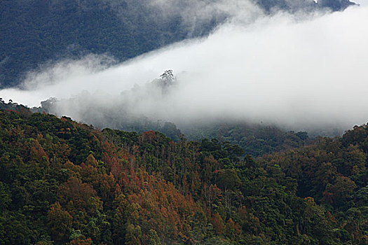 五指山风光