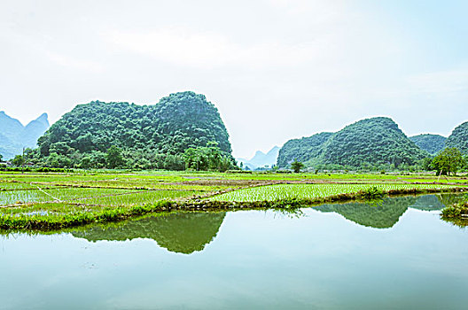 田园风光