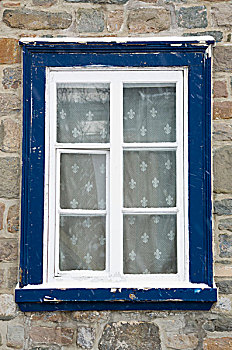 帘,香根鸢尾,后面,窗,老,文化遗产,家,魁北克老城,加拿大