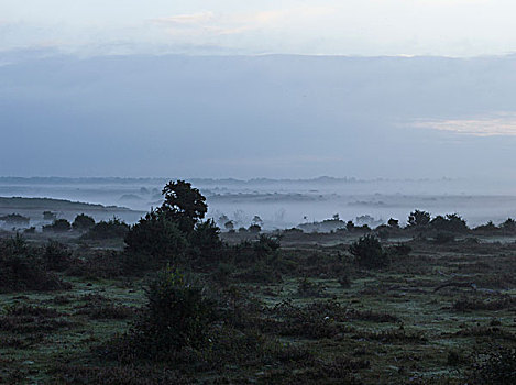 模糊,风景